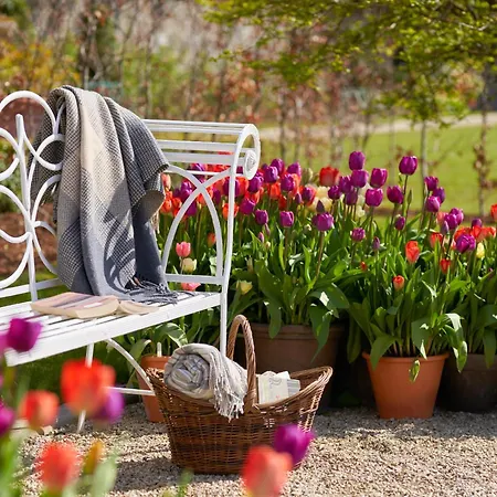 Castle 4* Ballynahinch